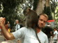 2017-01-23.gif